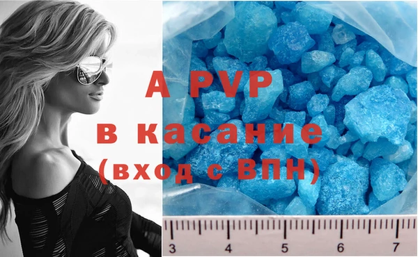 ГАЛЛЮЦИНОГЕННЫЕ ГРИБЫ Абинск