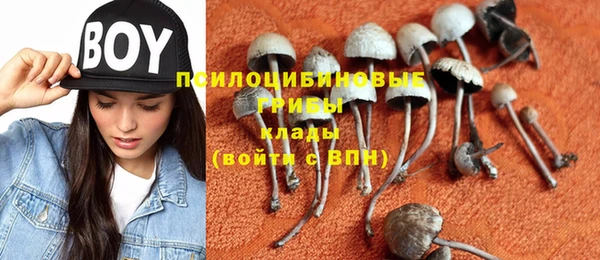 ГАЛЛЮЦИНОГЕННЫЕ ГРИБЫ Абинск