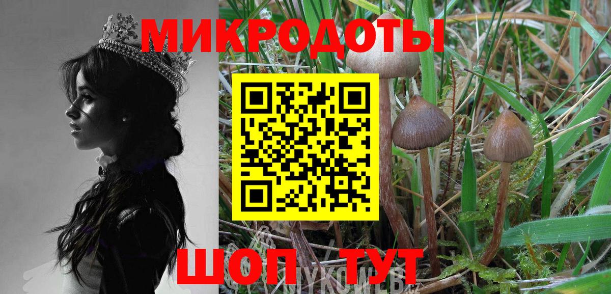 Галлюциногенные грибы мухоморы Нальчик
