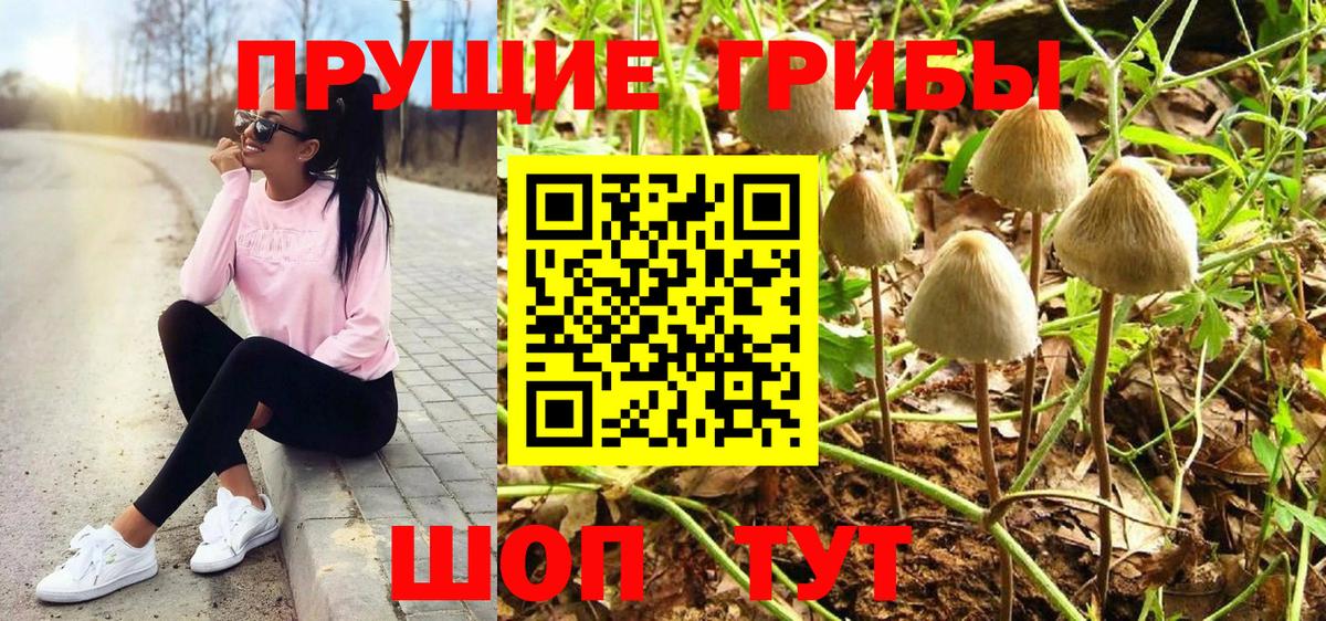 Галлюциногенные грибы ЛСД  Вход с VPN  Нальчик 